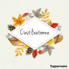Tupperware France Officiel - Bienvenue à l'automne ! La saison des belles  couleurs, de la cueillette des champignons, d'Halloween et de la citrouille  :-) Et vous, pourquoi aimez-vous l'automne ? | Facebook