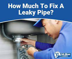 Plumber Cost To Fix A Leaky Pipe
