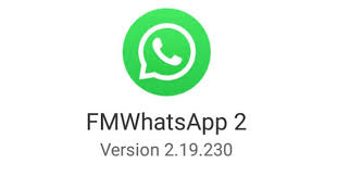 But remember that for it to continue working as well as always, you have to download fm whatsapp latest version so you don't miss out on all the new updates introduced. Fmwhatsapp V16 00 For Android Apk Download Android Apk