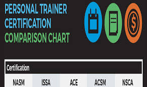 Personal Trainer Certification Options Infographic