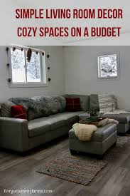 simple living cozy living room ideas
