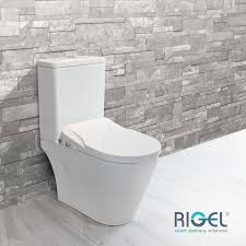 Rigel Gallant One Piece Toilet Bowl