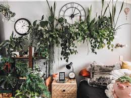 27 great ways to decorate with plants
