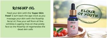 rosehip oil for skin thefoodlives