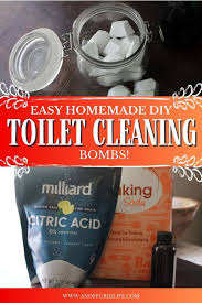 homemade diy toilet cleaning s an