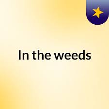In the weeds