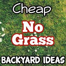 No Grass Backyard Ideas Or Front Yard