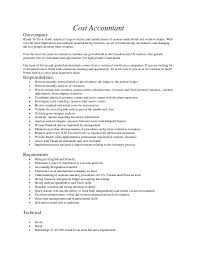 accountant resume example
