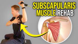 exercises for the subscaris muscle