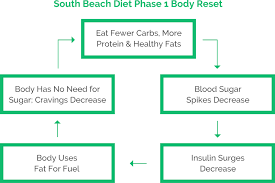 Discover The Science Behind The Magic Of The South Beach Diet