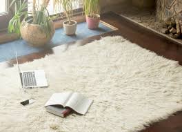 carpet floors in melbourne fl my