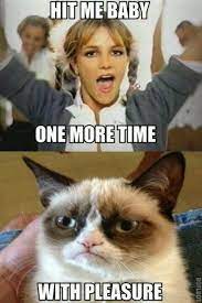 Pin by K Barclay on I Love Grumpy Cat :) | Funny grumpy cat memes, Cat  quotes funny, Grumpy cat humor