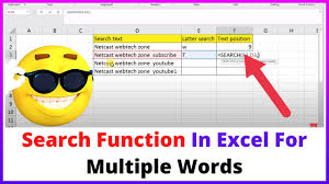 in excel for multiple words