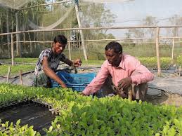 Youth Entrepreneurship in Agribusiness Bangladesh Country Report