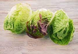We did not find results for: Mini Romaine Lettuce Freshly Harvested From The Pfalz Region