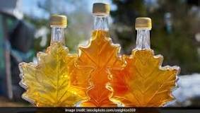 Can diabetics eat maple syrup?