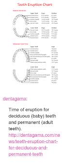 Tooth Eruption Chart Primary Dentition Upper Teeth Central