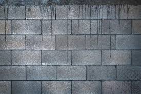 Get Rid Of Mold On Concrete Block Walls