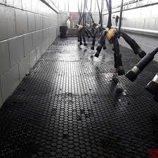 anti fatigue mats for milking sheds