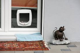 Cat Flaps Installation Into Porches
