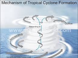 They cover a larger area and can originate over the land and sea whereas the tropical cyclones originate. Tropical Cyclone Formation Mechanism Cyclone Tropical Natural Disasters