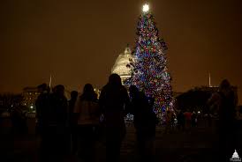 File 2014 Capitol Christmas Tree Lighting 15954550195 Jpg