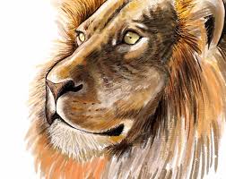 Lion Drawing Learn How To Draw The