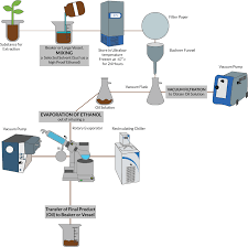 Solvent Extraction Method Of Plants Using Ethanol From
