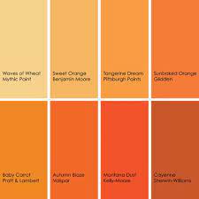 Orange Серые цвета краски Дизайн