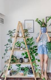 50 indoor plant decor ideas to elevate