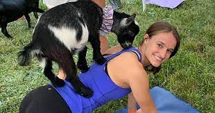 goat yoga northport living huntington