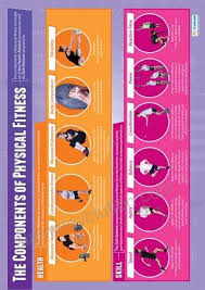 Components Of Physical Fitness Physical Education Chart