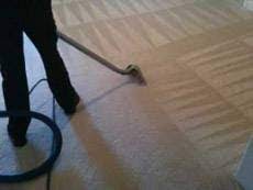 steam n dry carpet cleaning benefits