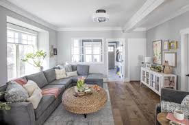What do we do with the litter box and where do we put it? 12 Grey Living Room Ideas That Are Anything But Dull