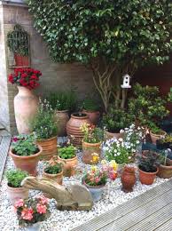 Plant Flowers In Pots Containers