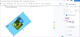 to rotate an image in google docs