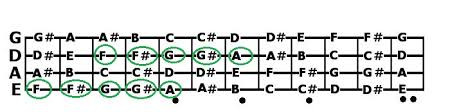 Explained Bass Guitar Notes Fretboard Radius And Neck Profile