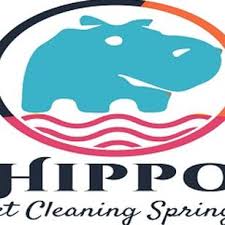 hippo carpet cleaning springfield