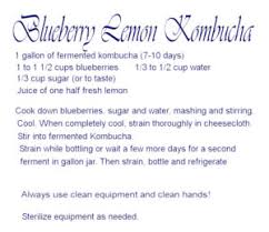 blueberry lemon kombucha recipe with