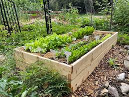Foundations For Growing Veggies