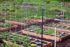 Raised Garden Beds How To Plan And
