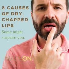 what causes dry chapped lips
