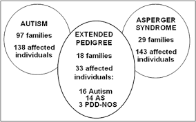 In 2013, it became part of one umbrella diagnosis of autism spectrum disorder (asd) in the diagnostic and. Association Of Disc1 With Autism And Asperger Syndrome Molecular Psychiatry
