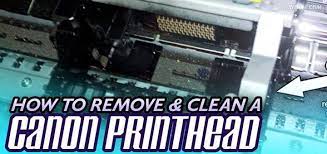 how to remove a canon printhead step