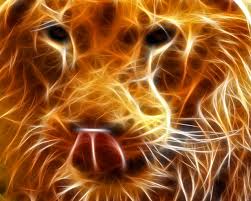 free lion fire wallpapers hd