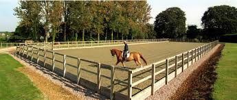 Most Common Mistakes When Building An Outdoor Equestrian