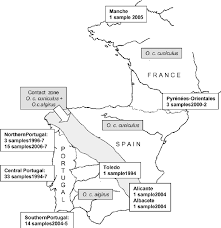 Ancient theatres in iberia spain and portugal. Map Of The Iberian Peninsula And South Of France Displaying The Download Scientific Diagram