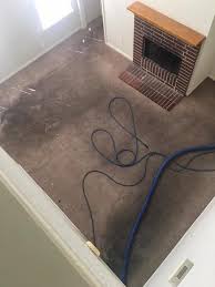 carpet steam cleaning austin