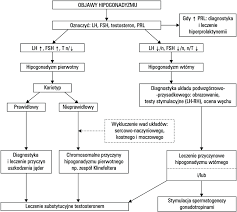 Diagnostic And Therapeutic Management Of Hypogonadism In Men