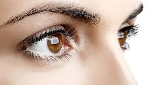 National Eye Donation Fortnight Exclusive: The Importance of Eye Donation -  PADHAM HEALTH NEWS